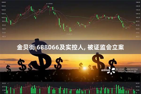 金贝街 688066及实控人, 被证监会立案